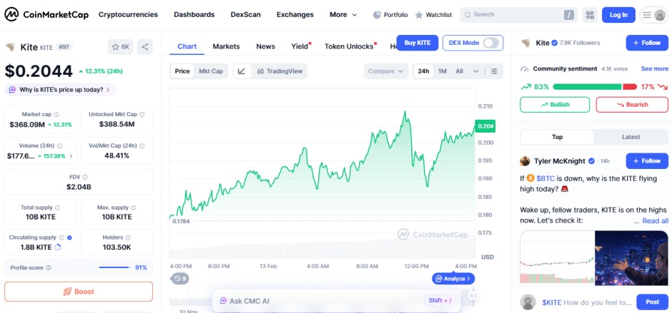 top crypot gainers today, februuary 13 2026, coin market cap image,  kite KITE