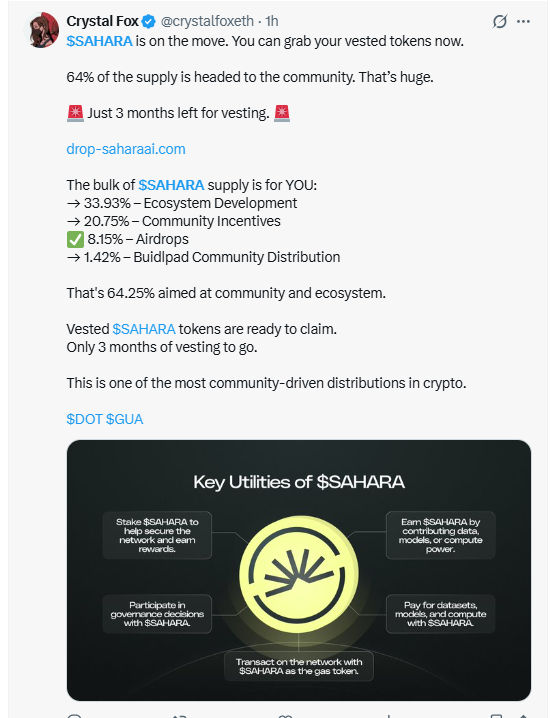Sahara AI token utilities including staking and governance