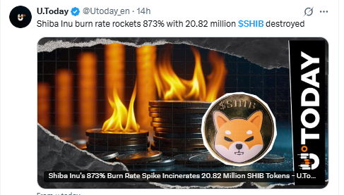 Shiba Inu New Today
