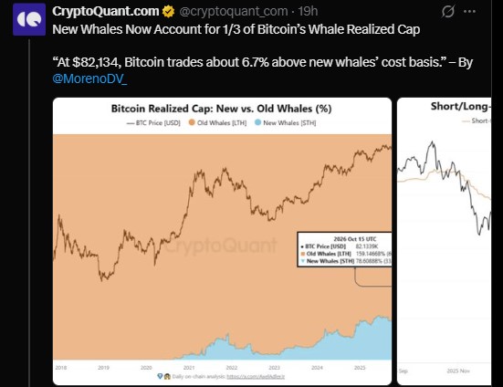 new whales now hold about one-third of the whale realized cap new whales now hold about one-third of the whale realized cap