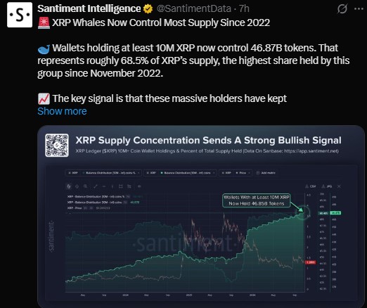 XRP Whales Now Control the Most Supply Since 2022