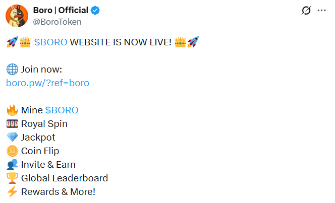 boro token features boro token features