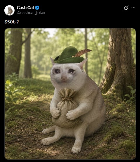 Cashcat latest post