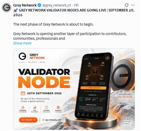 grey network validator node grey network validator node