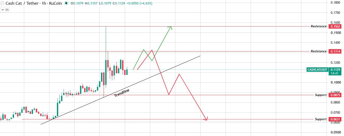 1-Hour Chart Analysis of $CASHCAT 1-Hour Chart Analysis of $CASHCAT