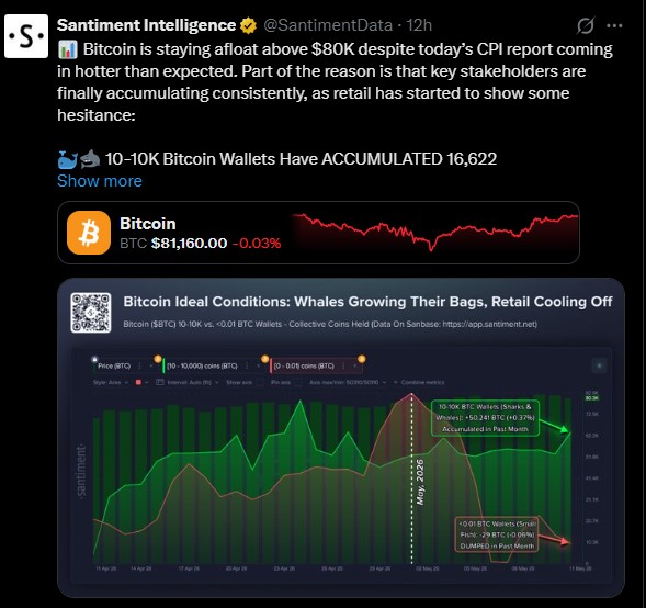 Bitcoin On-Chain Data