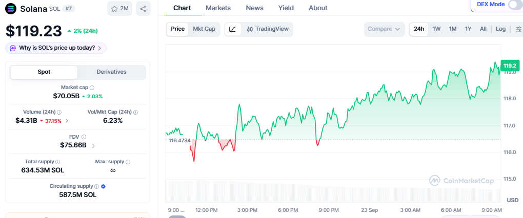 Solana Price Chart showing details Solana Price Chart showing details