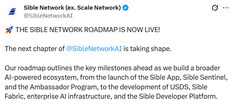 sible network post on x