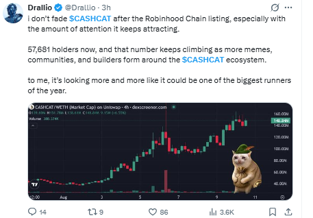 $CASHCAT News Today
