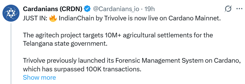 IndianChain on Cardano IndianChain on Cardano