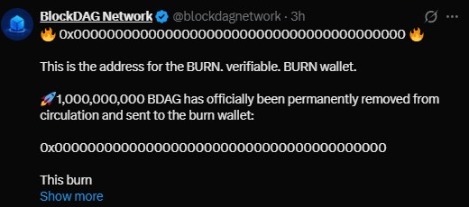 BlockDAG confirmed a live burn of 1 billion BDAG tokens