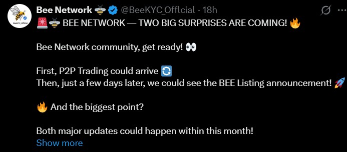 Bee Network Listing Date and P2P Trading Update