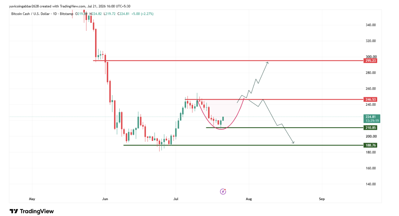 BCH Chart Analysis Long Term
