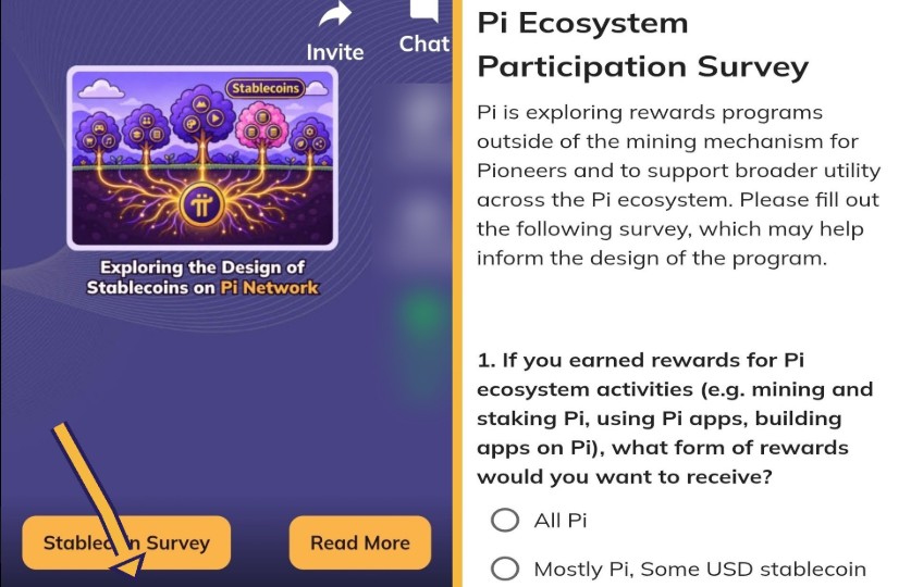 Pi Network Reward Survey