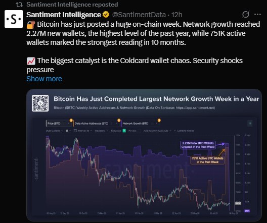 Bitcoin just had its biggest network growth week