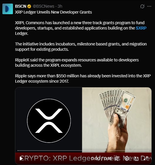XRP Ledger grants