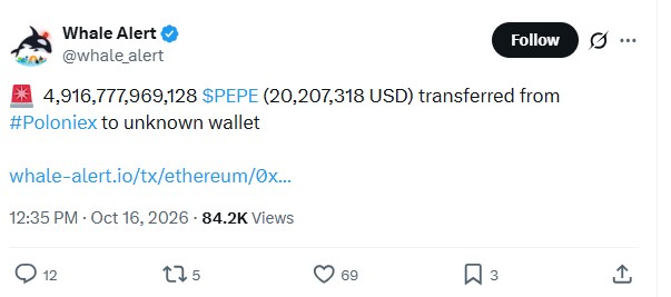 pepe whale transfer news pepe whale transfer news