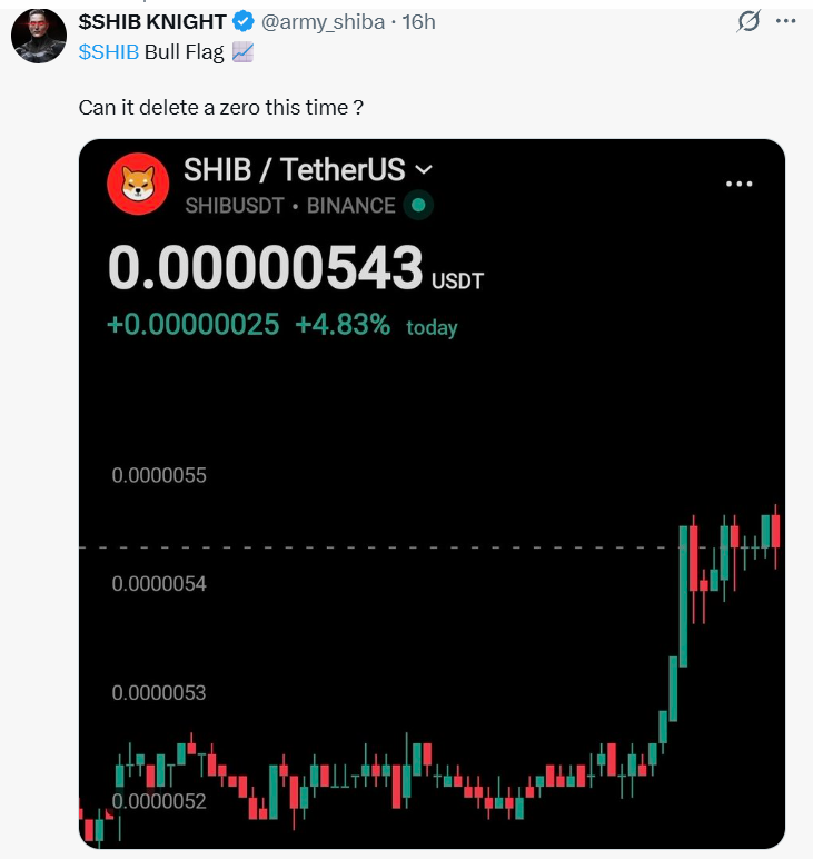 Shiba Inu price prediction