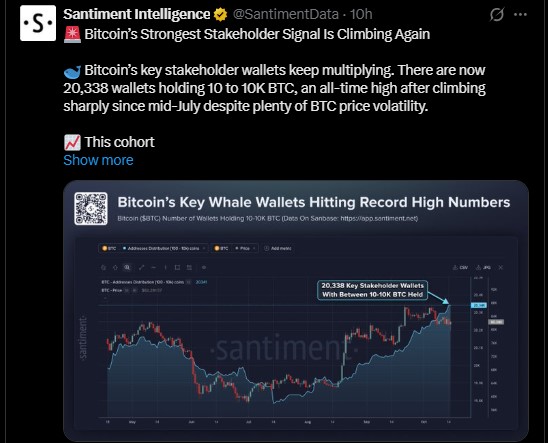 Are Bitcoin Whale Wallets Still Buying? Are Bitcoin Whale Wallets Still Buying?
