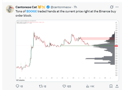 Cantonese Cat Tweet About Dogecoin Price Prediction