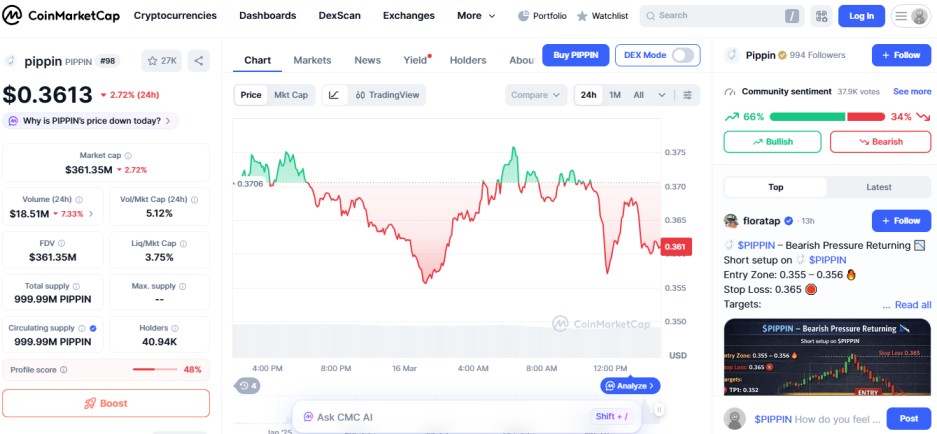 top crypto losers 24H, PIPPIN top crypto losers 24H, PIPPIN