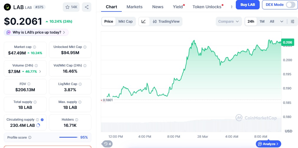 lab price chart