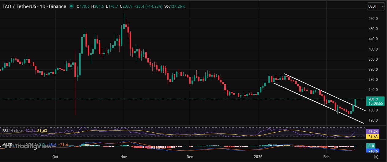 TAO/USDT 1 Day Chart TAO/USDT 1 Day Chart