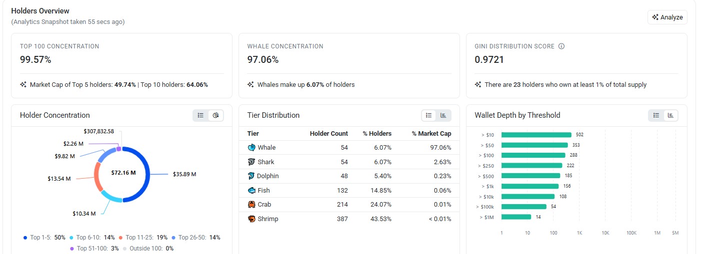 Tokenomics and Holder Concentration Tokenomics and Holder Concentration