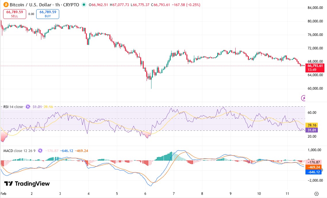BTC Falls Below 67000,