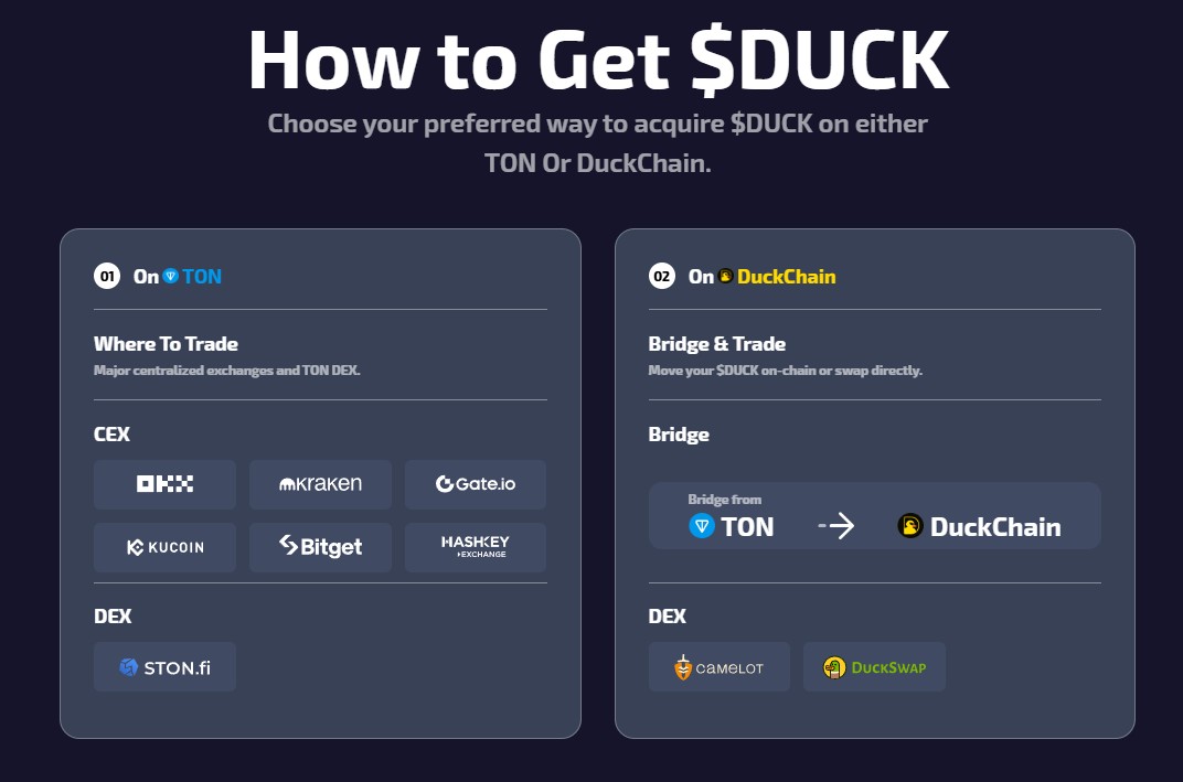 How to Bridge Assets From DuckChain to TON Before the Upgrade How to Bridge Assets From DuckChain to TON Before the Upgrade
