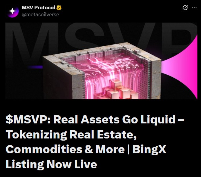 MSVP Coin Launch Date MSVP Coin Launch Date