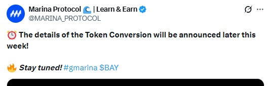 marina protocol news update latest