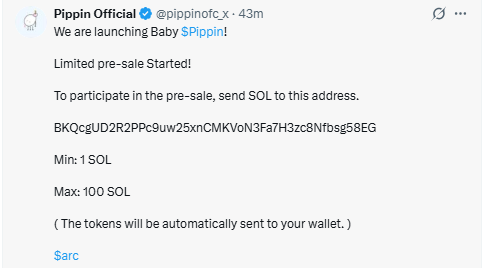 PIPPIN presale announcement for Baby Pippin token launch on Solana