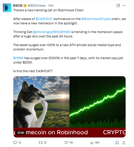 Cashcat New Today