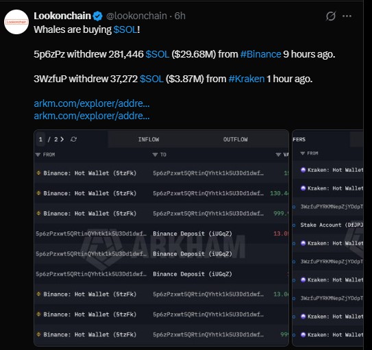 Are Solana Whales Buying or Selling Right Now