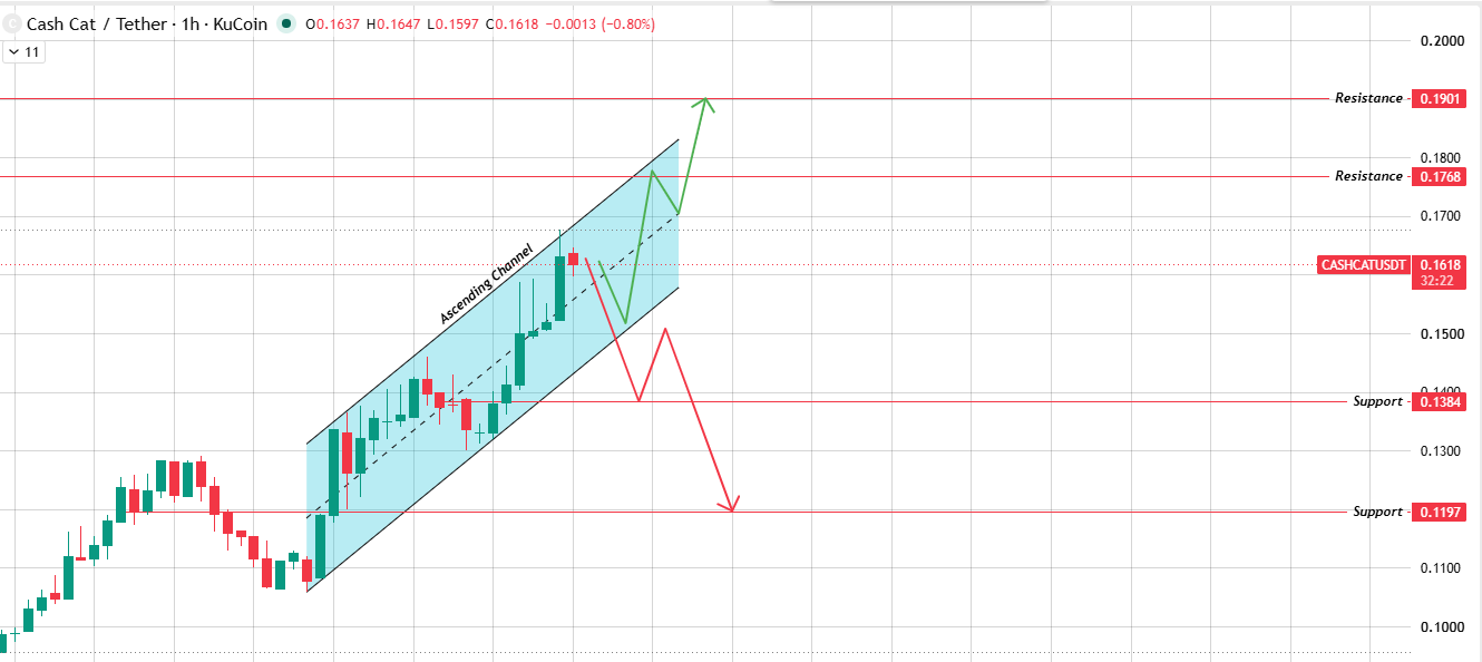 What The Hourly Chart Is Saying