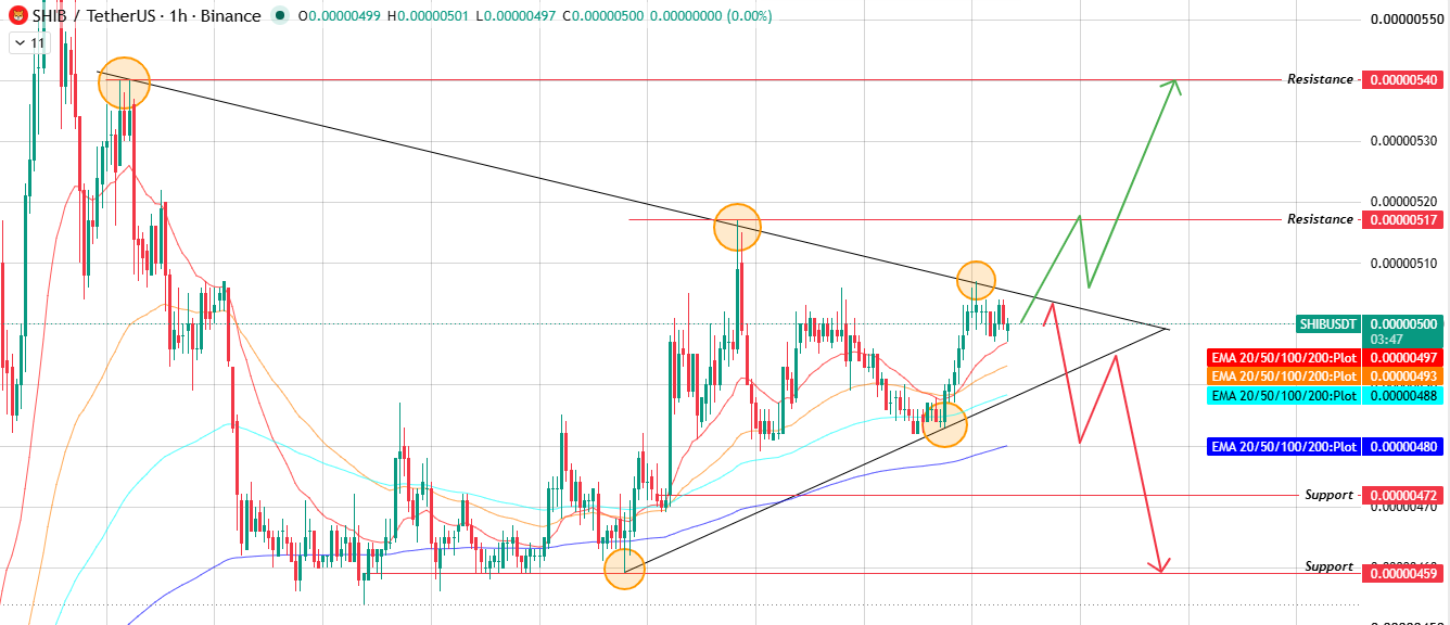 shiba inu chart analysis shiba inu chart analysis