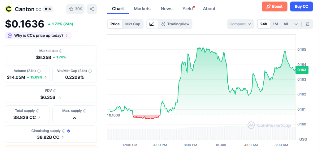 CC/USD price chart today CC/USD price chart today
