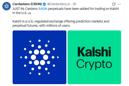 Cardano News Today