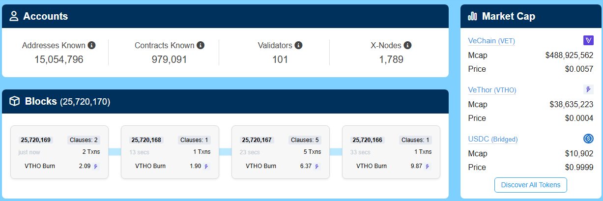 vechain onchain data 
