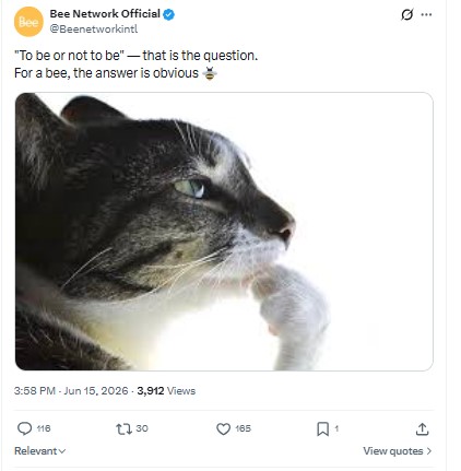 bee network official post n x