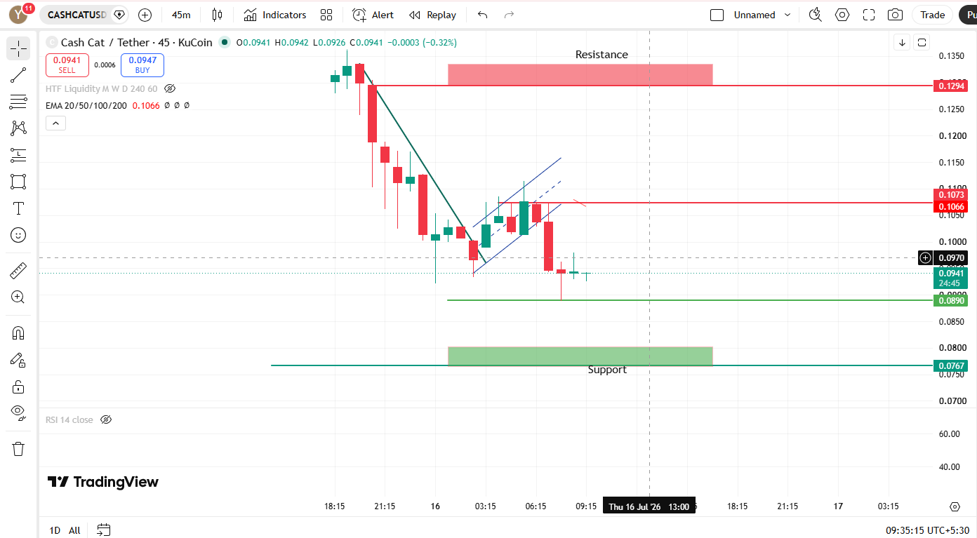 Cash Cat Chart Analysis