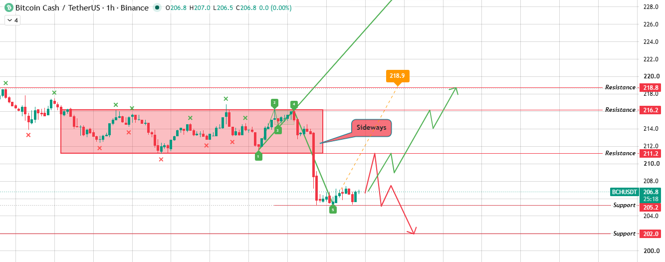 Hourly Chart Analysis for $BCH Price Prediction