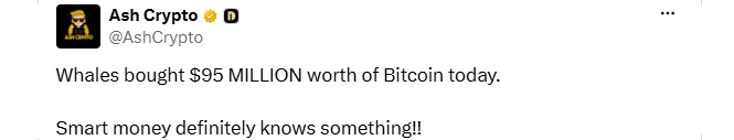 AshCrypto claims whales bought $95M of Bitcoin AshCrypto claims whales bought $95M of Bitcoin
