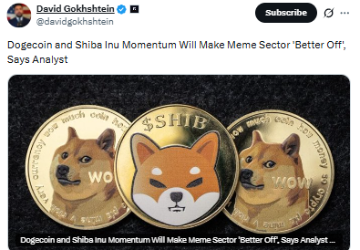 gave the meme coin crowd something to think gave the meme coin crowd something to think