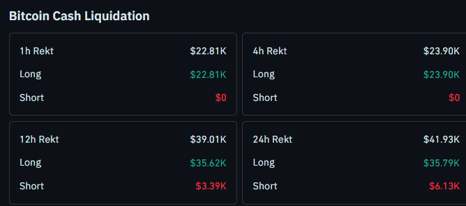 BCH Liquidation Data Today BCH Liquidation Data Today