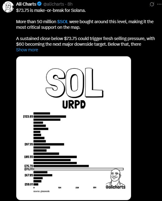 50 million SOL tokens were bought around the $73.75 mark