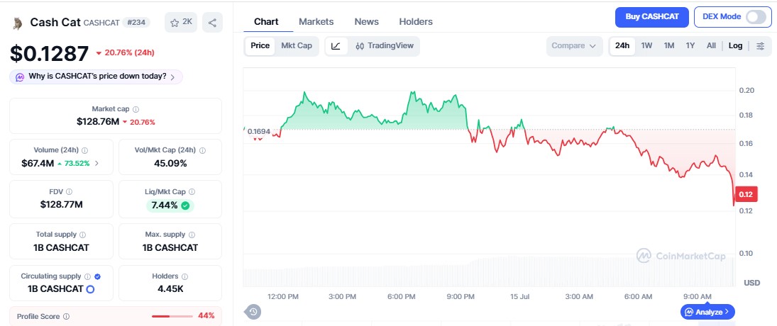 Cash Cat price today Cash Cat price today