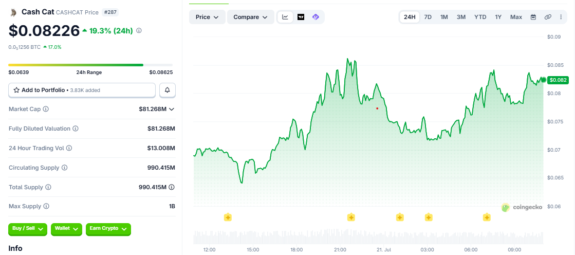 cashcat price chart today