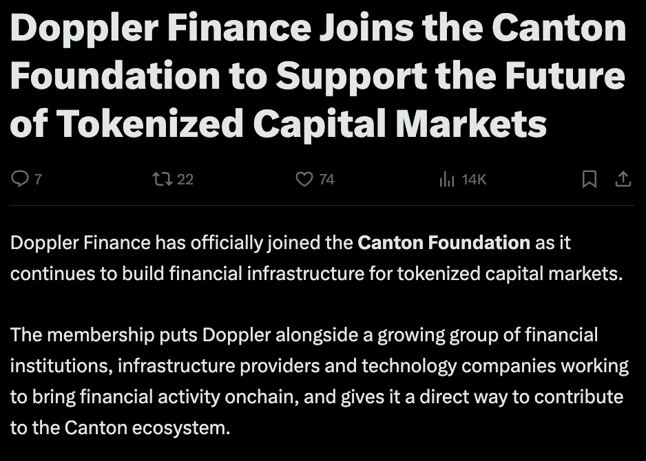 Dopple Finance article
